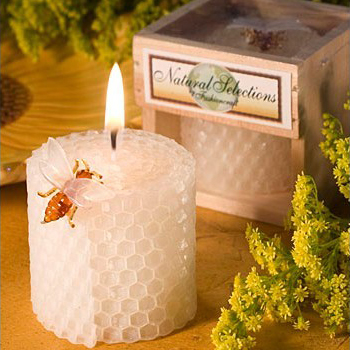 Suministros para fiesta de cum - Supplies Of Candle reseña y precio